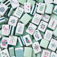 Custom Acrylic American Mahjong Set with 160 Printed Tiles