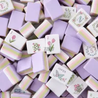 Custom 4-Layer Acrylic American Mahjong Tiles for Private Label